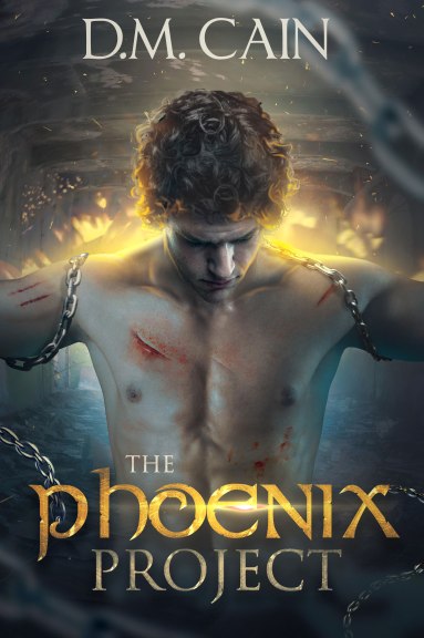 The Phoenix Project Cover - Booktrope