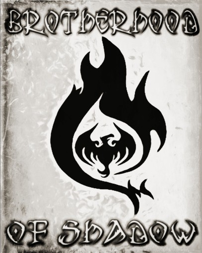 The Light And Shadow Chronicles Symbol No 6 Brotherhood Of Shadow Immersive Fantasy Fiction